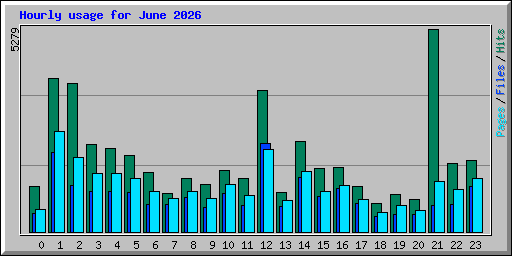 Hourly usage for June 2026
